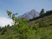 Youri - Ecrins 2005 329